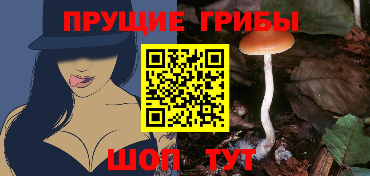 Дедовск  Псилоцибиновые грибы мухоморы  где купить   Вход с VPN 